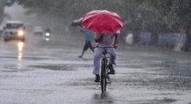 Chennai Meteorological Department announced 12 districts rain alert