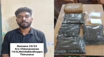 Thiruvarur DMK Supporter SOn Arrest Cannabis Smuggling Case 
