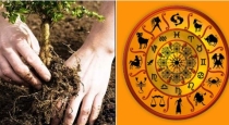12 Trees for 12 Rasi 