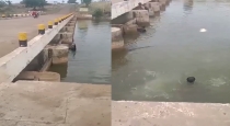 Telangana Drunken Man Died in River 