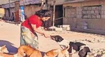 Samyutha gave food to street dogs