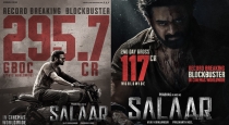 Salaar Movie 2 Days Collection Rs 295 Crores 
