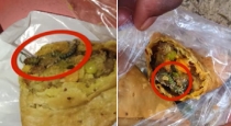 Villupuram-a-customer-finds-dead-insect-in-samosa-food