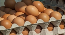 some-simple-tips-to-keep-eggs-from-spoiling