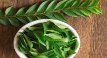 health-benefits-of-curry-leafs