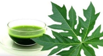 Health benefits of papaya leaf water 