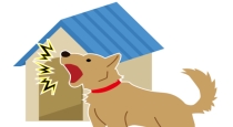 Why barking dogs do not bite proverb 