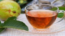 Guava leaf Tea Benefits for Health 