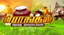 Pongal telecast Tamil movies in TV 