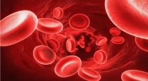 How to increase hemoglobin 