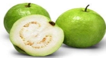Health benefits of koyya fruit 