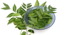 Hair growth tips using curry leaves