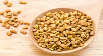 Health benefits of Fenugreek seeds 