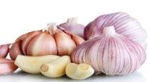Health benefits of ate garlic 