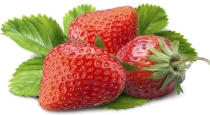 8 years old boy death ate strawberry 