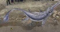 180-million-year-sea-dragon-ichthyosaur-fossil-discover