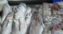 Fish imported from India has corona says chaina