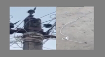 in Sivaganga 12 Aged Boy Dies by Electrical Attack 