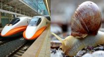 snail-stopped-25-bullet-trains-in-jappan