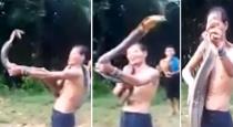 man-dies-after-being-bitten-by-cobra-he-was-teasing
