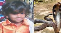 chennai-madhavaram-6-aged-child-died-snake-byte
