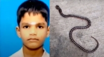 Thiruvallur Arani Brothers snake Byte One Died Another One Treatment 