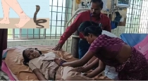 Snake bite a 7th std student in government school in vellore 