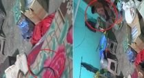 17 year old children died due to snake bite