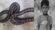 8-Year-Old Boy Dies After Viper Snake Bite in Chengalpattu