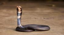 Husband snake to killed wife and daughter 