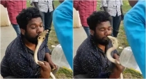 Karnataka Shivamogga Snake Byte Man Lip When he Kiss Attempt 