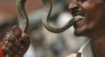 Gujarat man bite snake and died
