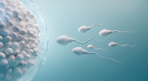 Indian Man Affect Sperm Quantity and Quality 