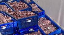  spoiled meat seized in chennai