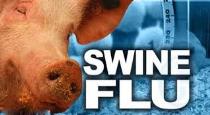 how to avoid Swine Flu