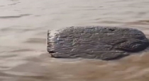 Floating-rock-ganges-kaushambi-up