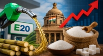 Is E20 Petrol Responsible for Rising Sugar Prices 