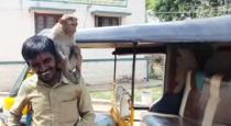 Krishnagiri Denkanikottai Monkey Love with Auto Driver Wont Go to Forest 