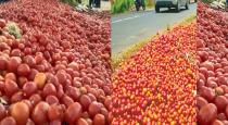 tomato rate decreased 