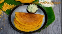Thuvaramparupu Dosa Cooking Tips Tamil 
