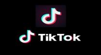 Japan company tries to buy indias tik tok company