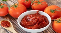 tomato paste instead of tomato 