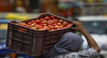 Tomato Price Coming Weeks Which Higher Rs 300 Per Kg 