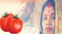 Tomato dissolved the family in Madhya Pradesh