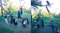 a Group of Friends Play with Tree Climbing on Scared 
