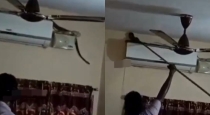 Snake-inside-unused-ac-erode-rainy-season