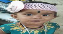 Karnataka Tumakuru 2 Aged Girl Died After Dog Byte Grand Ma Foolish Activity 
