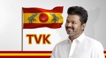 Vijay-velachery-constituency-2026-election-plan