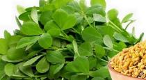 Fenugreek increases digestion and stimulates appetite