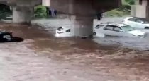 The cars were caught in the wild flood when they went on a trip